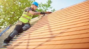 Roof Moss and Algae Removal in Cambridge, WI